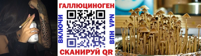 Псилоцибиновые грибы мухоморы  Монино 